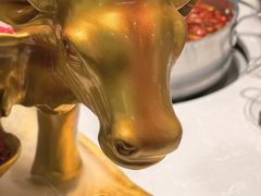 -俏牛哥鲜牛肉牛肆馆(重庆天地店)