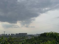 -桃源山庄·水蜜桃采摘·柴火鸡·烧烤团建(龙泉山店)