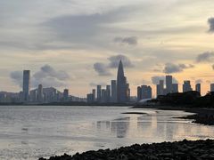 -深圳湾公园(南山区)