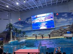 -福州罗源湾海洋世界旅游区