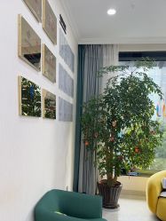 -苗医生草本科技祛痘