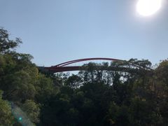 -金鸡山公园