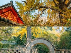 -青岛崂山太清宫