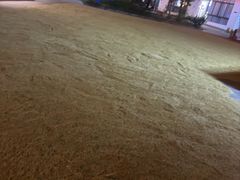 -麦园农庄·西江河鲜