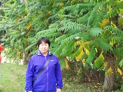 -长春世界雕塑园冰雪艺术天地