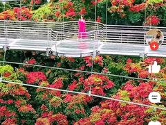 -南丹山森林王国