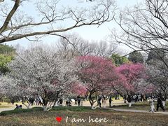 -杭州植物园