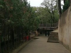 -梁家河村红色旅游区