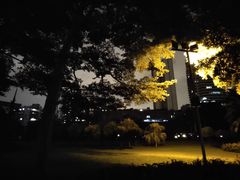 -东风公园
