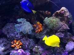 -成都浩海立方海洋公园