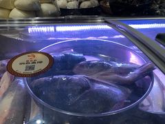 -洁雅小南方俏巴鱼馆(汴河街店)