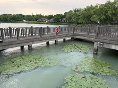 -新木器时代餐厅(太湖新天地店)