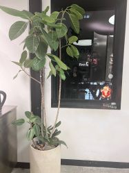 -J Eleven型人坊旗舰店