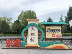 -大槐树寻根祭祖园