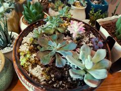 -SAH健身私教工作室(紫东店)