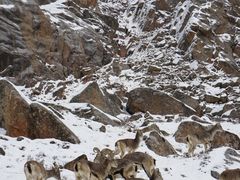 -莲宝叶则景区