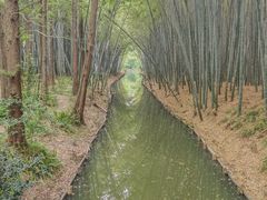 -同里国家湿地公园