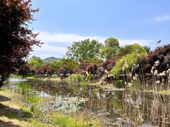 -石塘人家