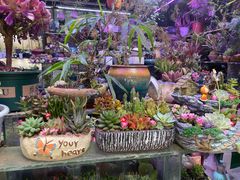 -花鸟鱼虫鲜花绿植市场(玉泉路店)