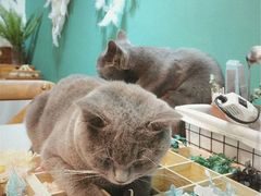 -觅时光手作·香薰·拼豆豆·陶艺DIY