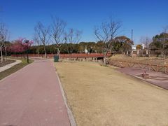 -嘉北郊野公园