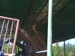 -秦皇岛野生动物园