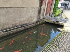 -前童古镇
