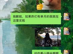 -小猫来了·猫舍(红山六九七九店)