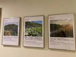 点击看大图 -FineYoga梵音瑜伽·普拉提