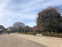 -名古屋城