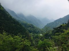 -石台牯牛降景区