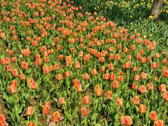 -长春公园(普阳街道)