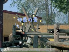 -杭州野生动物世界