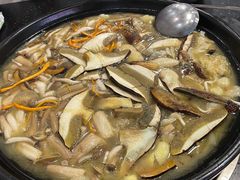 -草墩罗非鱼庄•野生菌•腊排骨(七星街上段店)