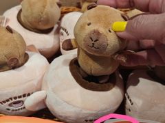 -酷乐潮玩(五道口购物中心店)