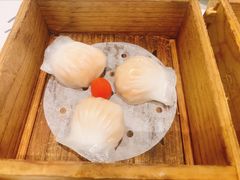 水晶虾饺-茶港·点心·啫啫煲(范湖万达广场店)