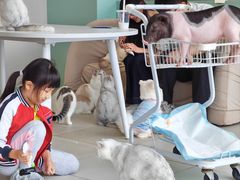 -怪兽屋·羊驼·猫咖·狗咖(俊华广场店)