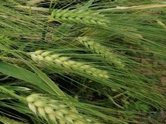 -房山世界地质公园博物馆