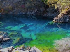 -叠溪松坪沟景区