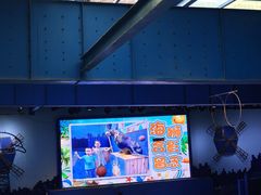 -太奥幻太奇海洋馆
