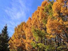 -长春市南湖公园