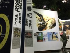 -中国西峡恐龙遗迹园