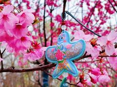 -梁鸿国家湿地公园