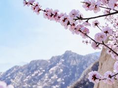 -北京凤凰岭