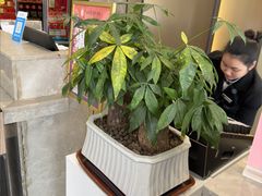 -华海酒店(茂名高铁站店)