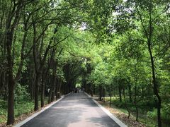 -同里国家湿地公园