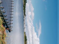 -深圳人才公园