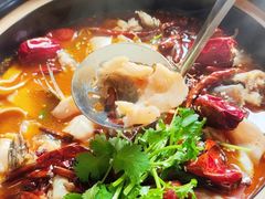-秦扬居特色菜馆(上王村)