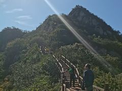 -大岭沟猕猴桃谷风景区