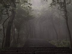 -紫金山山顶公园